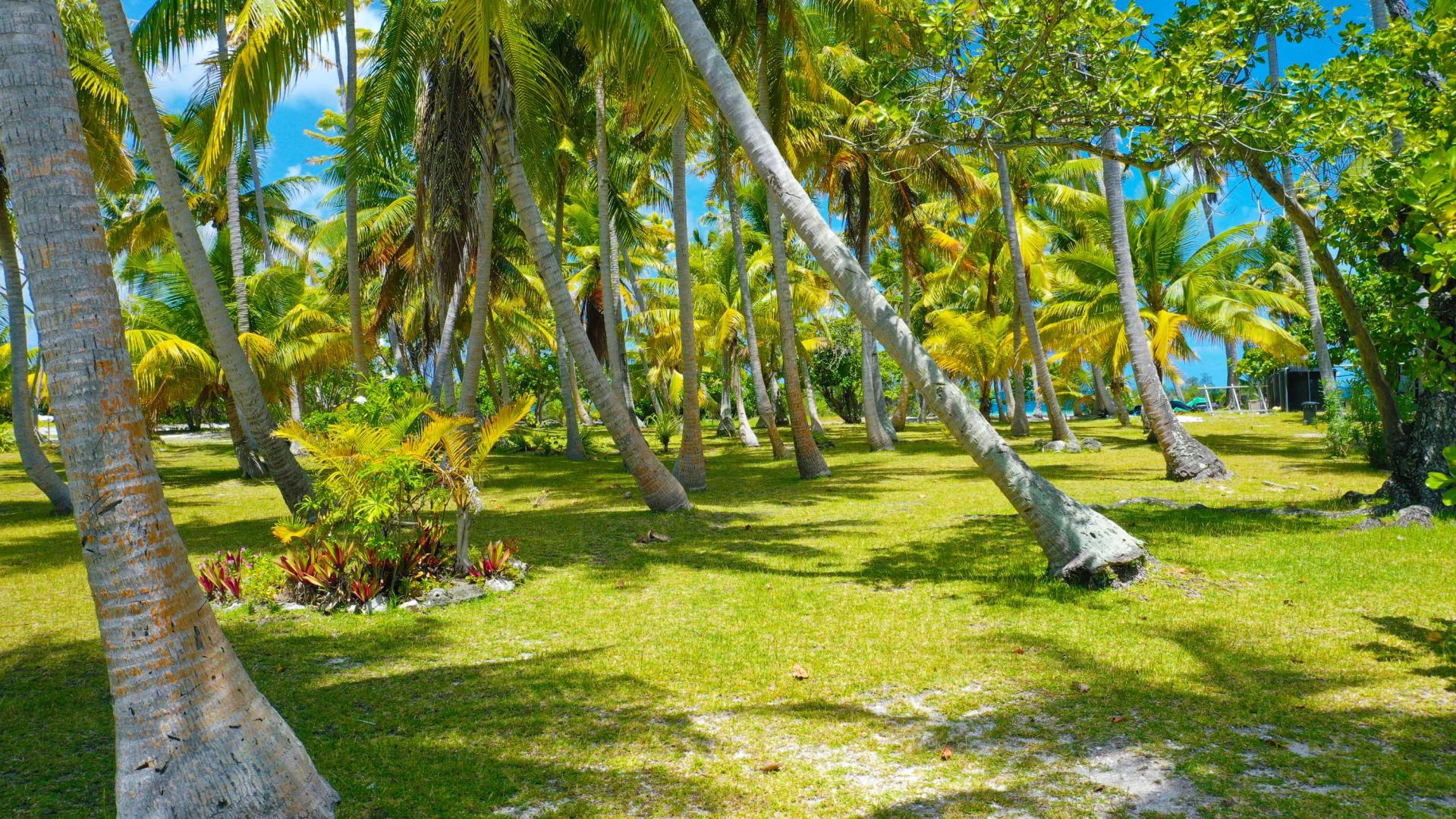 Motu Fara – Private island in French Polynesia, South Pacific