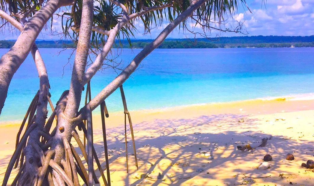 Dany Island – Private island in Vanuatu, South Pacific