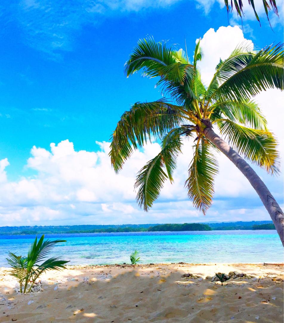 Dany Island – Private island in Vanuatu, South Pacific