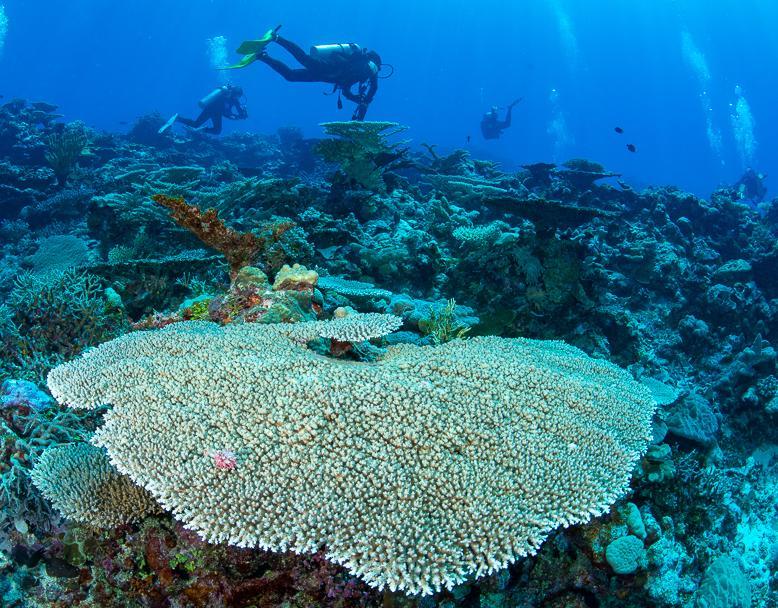 Dany Island – Private island in Vanuatu, South Pacific