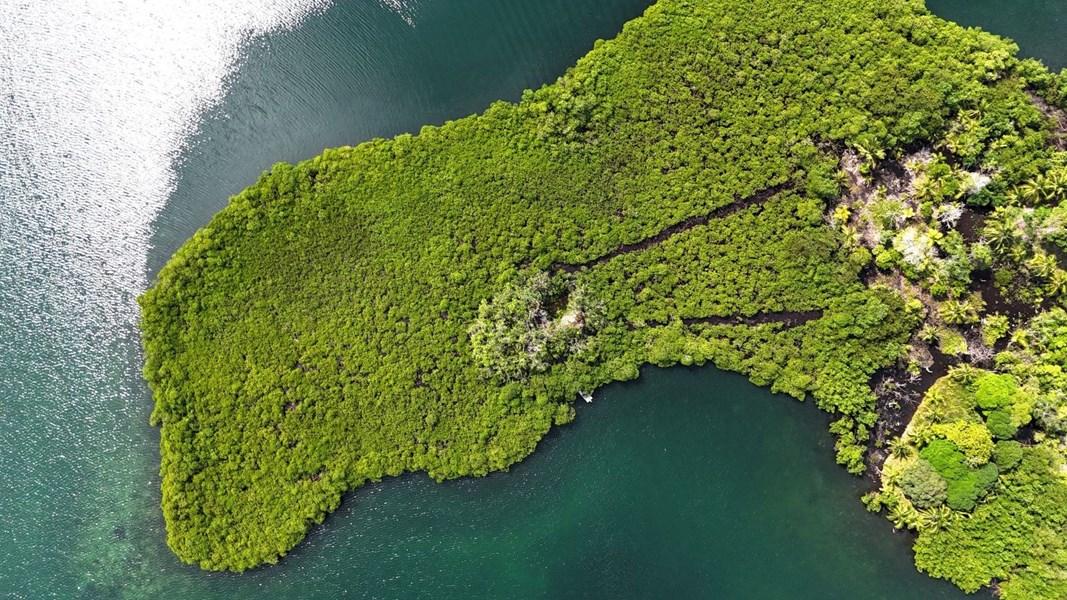 Small Island in Bocas – Private island in Panama, Central America