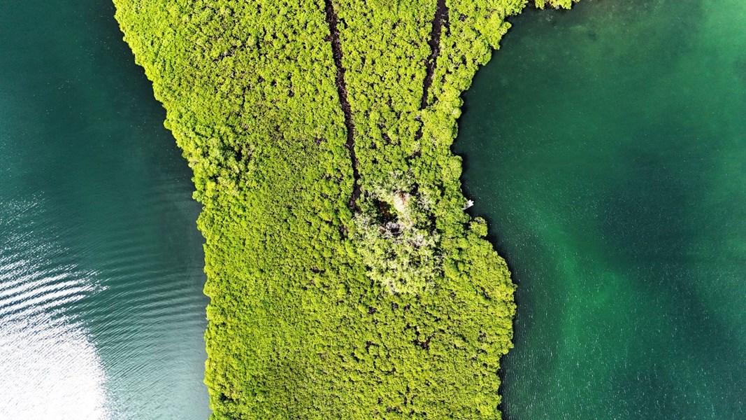 Small Island in Bocas – Private island in Panama, Central America