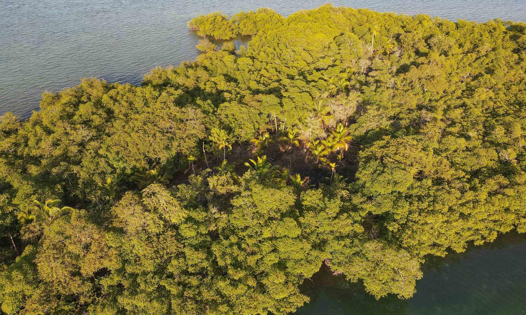 Private Island with 1.5-ha Lot – Private island in Panama, Central America