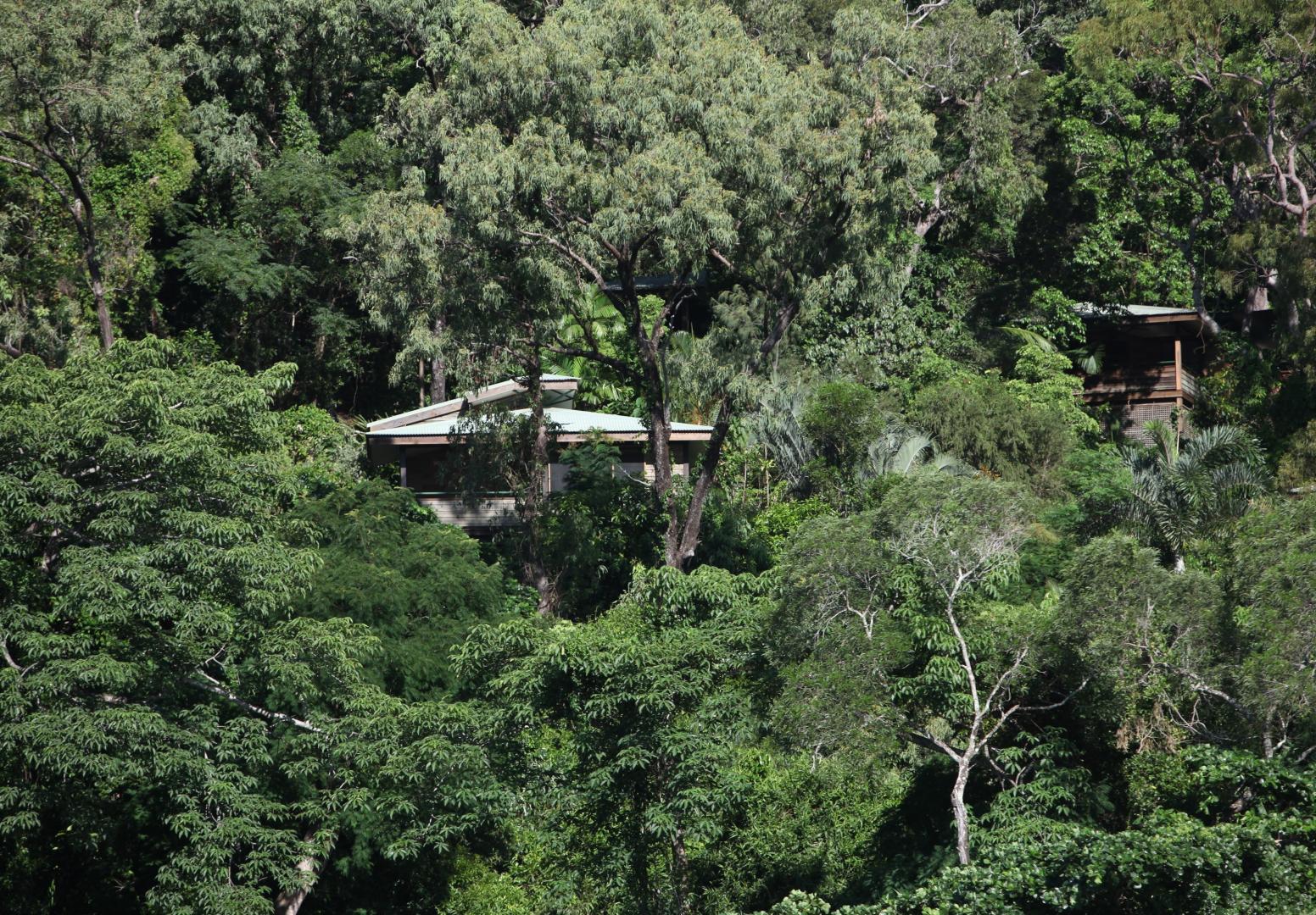Bloomfield Wilderness Lodge – Private island in Australia, South Pacific