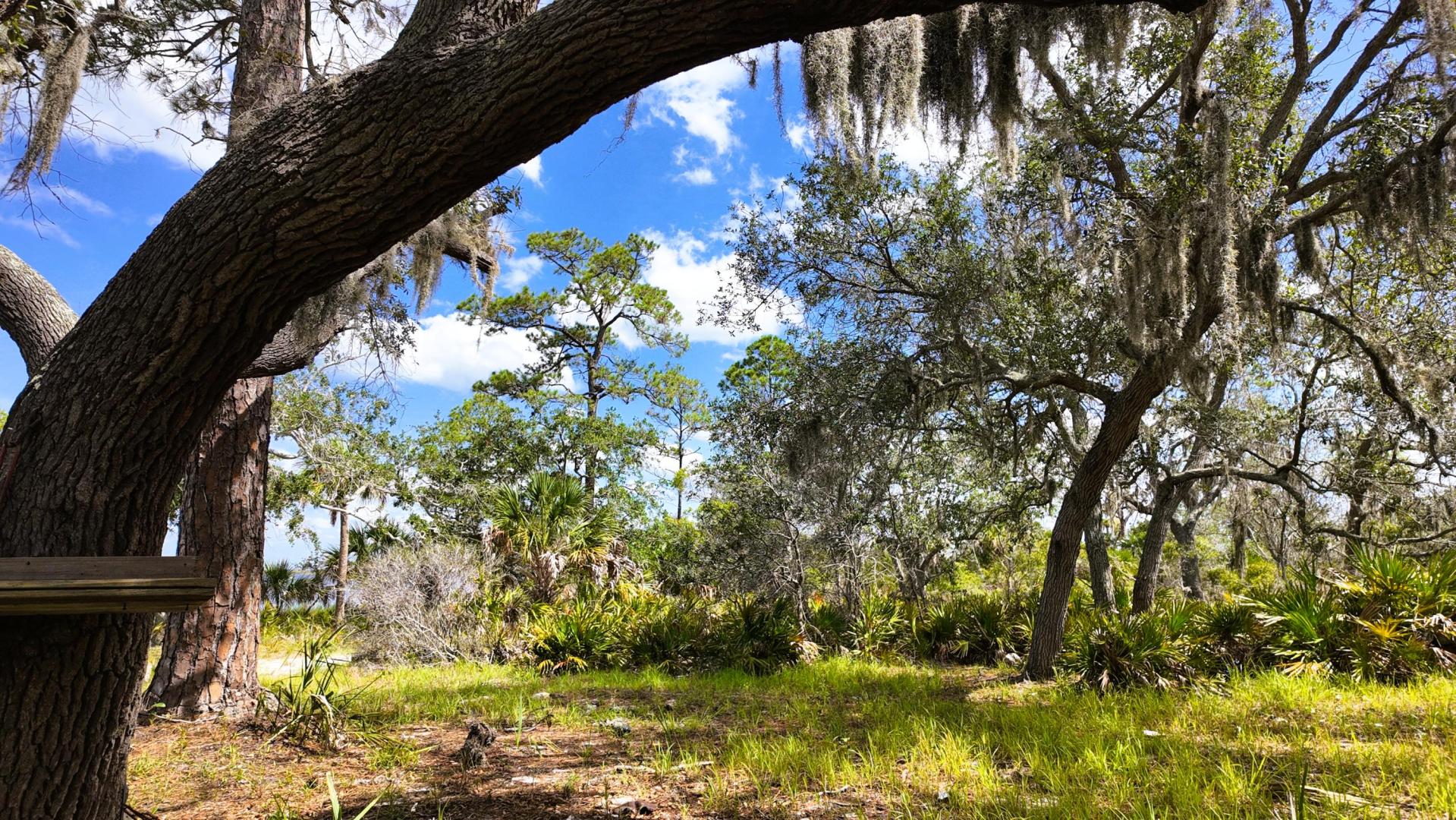 Clark Island – Private island in Florida, United States