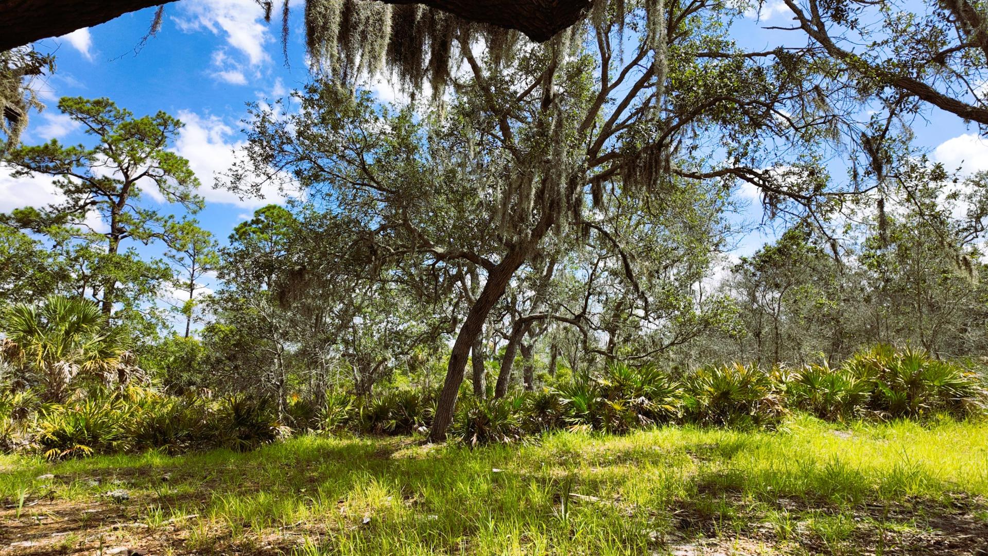 Clark Island – Private island in Florida, United States