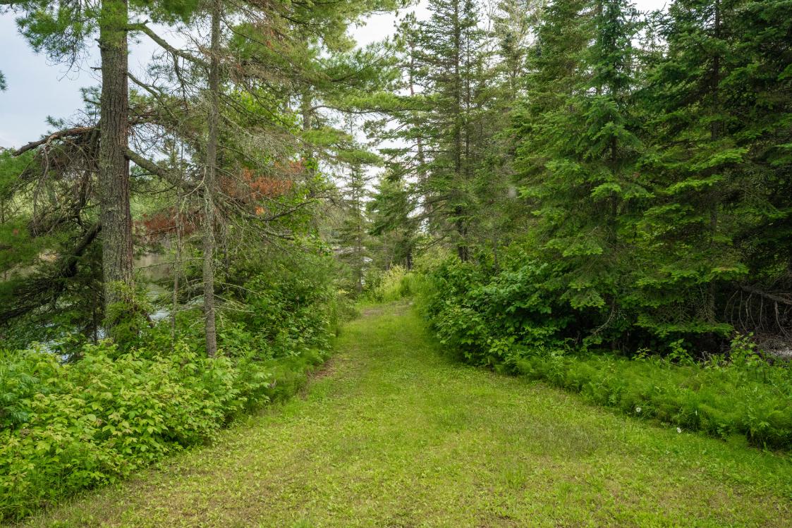 Queen Bee Island – Private island in Northern Ontario, Ontario, Canada