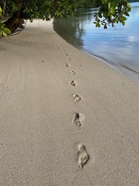 Ngerechur Island – Private island in South Pacific