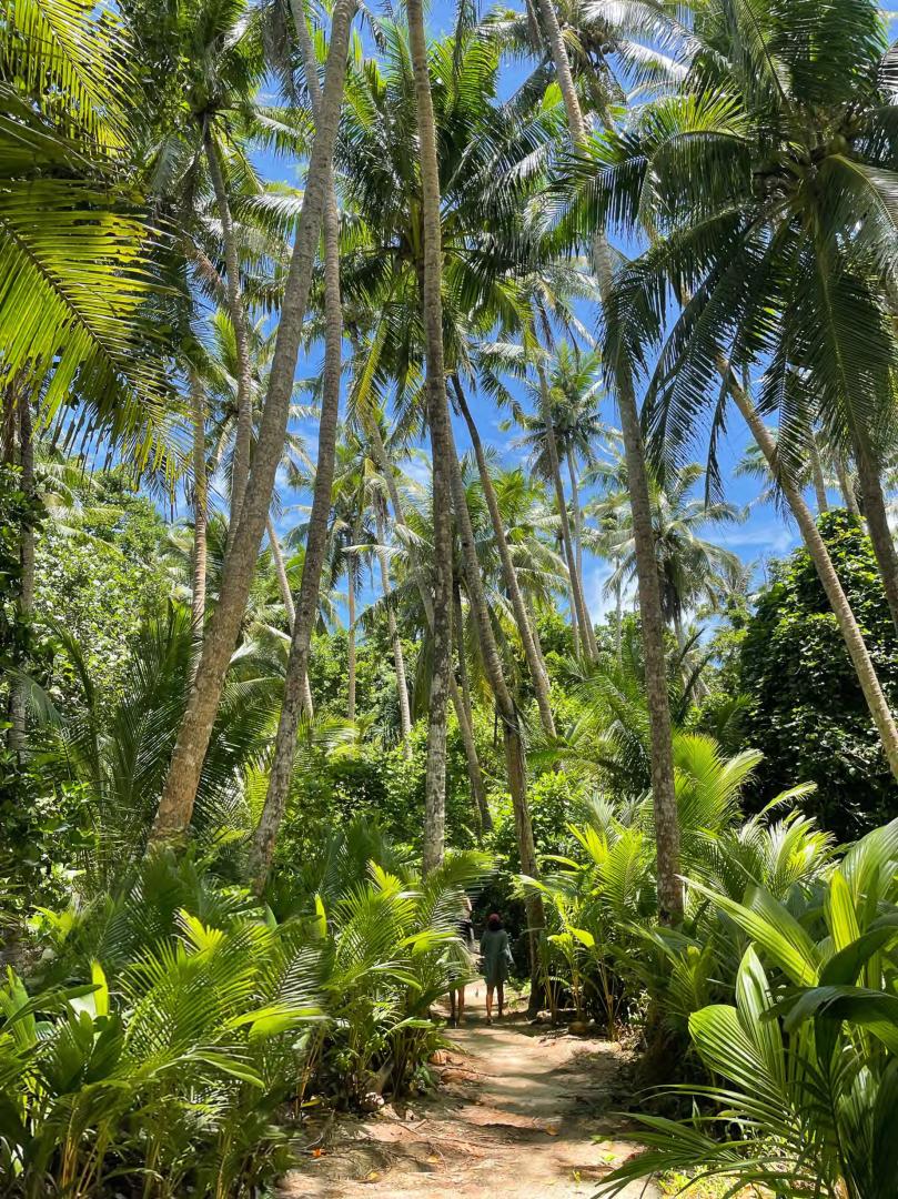 Ngerechur Island – Private island in South Pacific