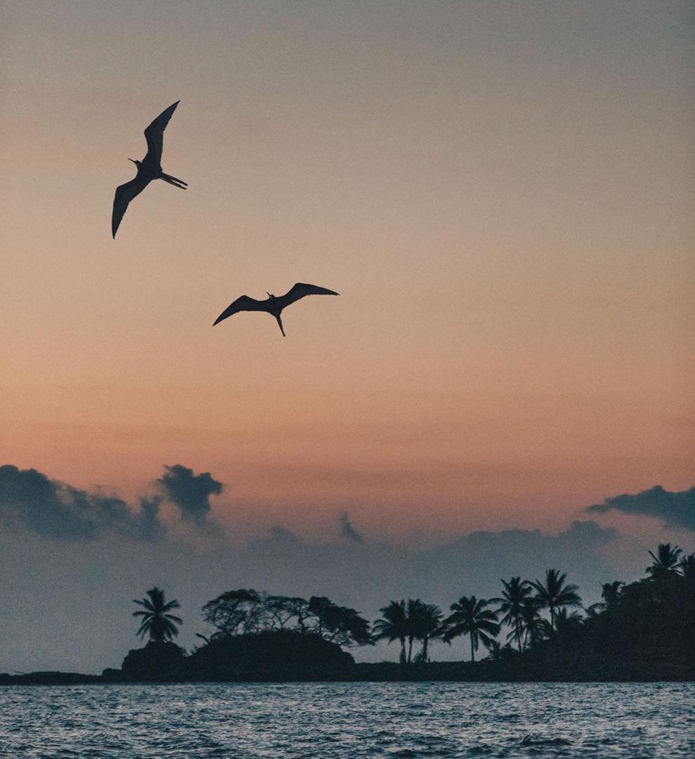 Islas Secas – Private island in Panama, Central America