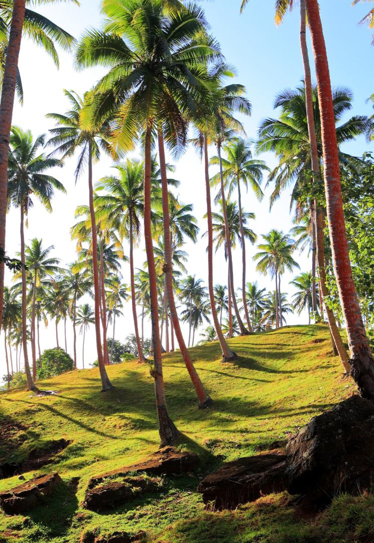 Matangi Private Island Resort – Private island in Fiji, South Pacific