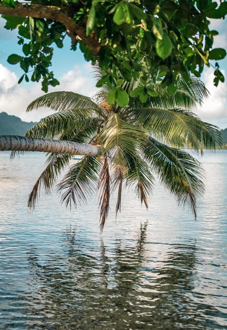 Matangi Private Island Resort – Private island in Fiji, South Pacific