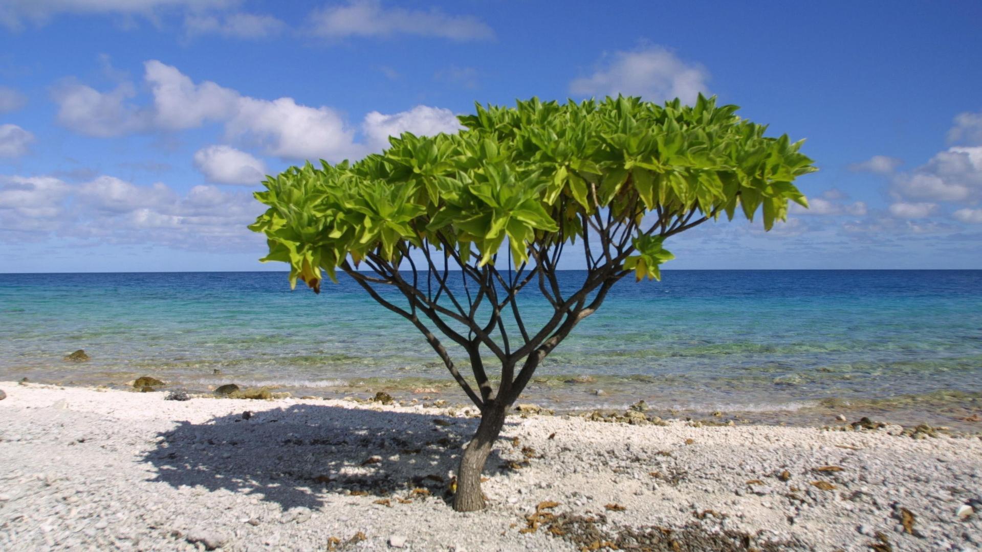 Arutua Island – Private island in French Polynesia, South Pacific