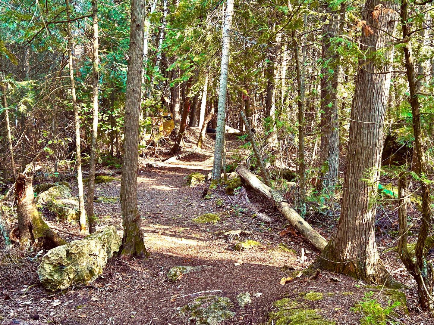 Farr Island – Private island in Northern Ontario, Ontario, Canada