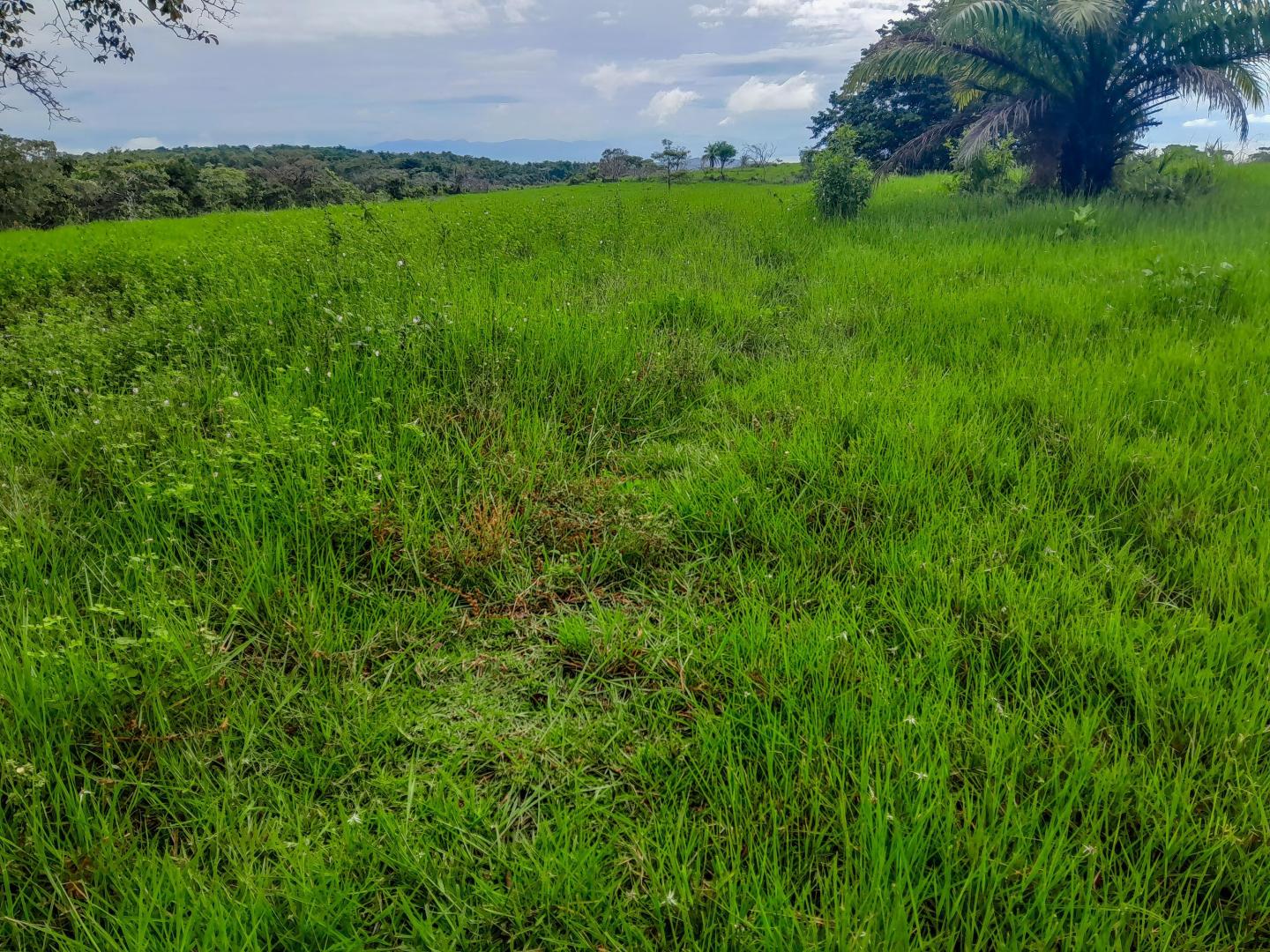 Isla Cébaco – Private island in Panama, Central America