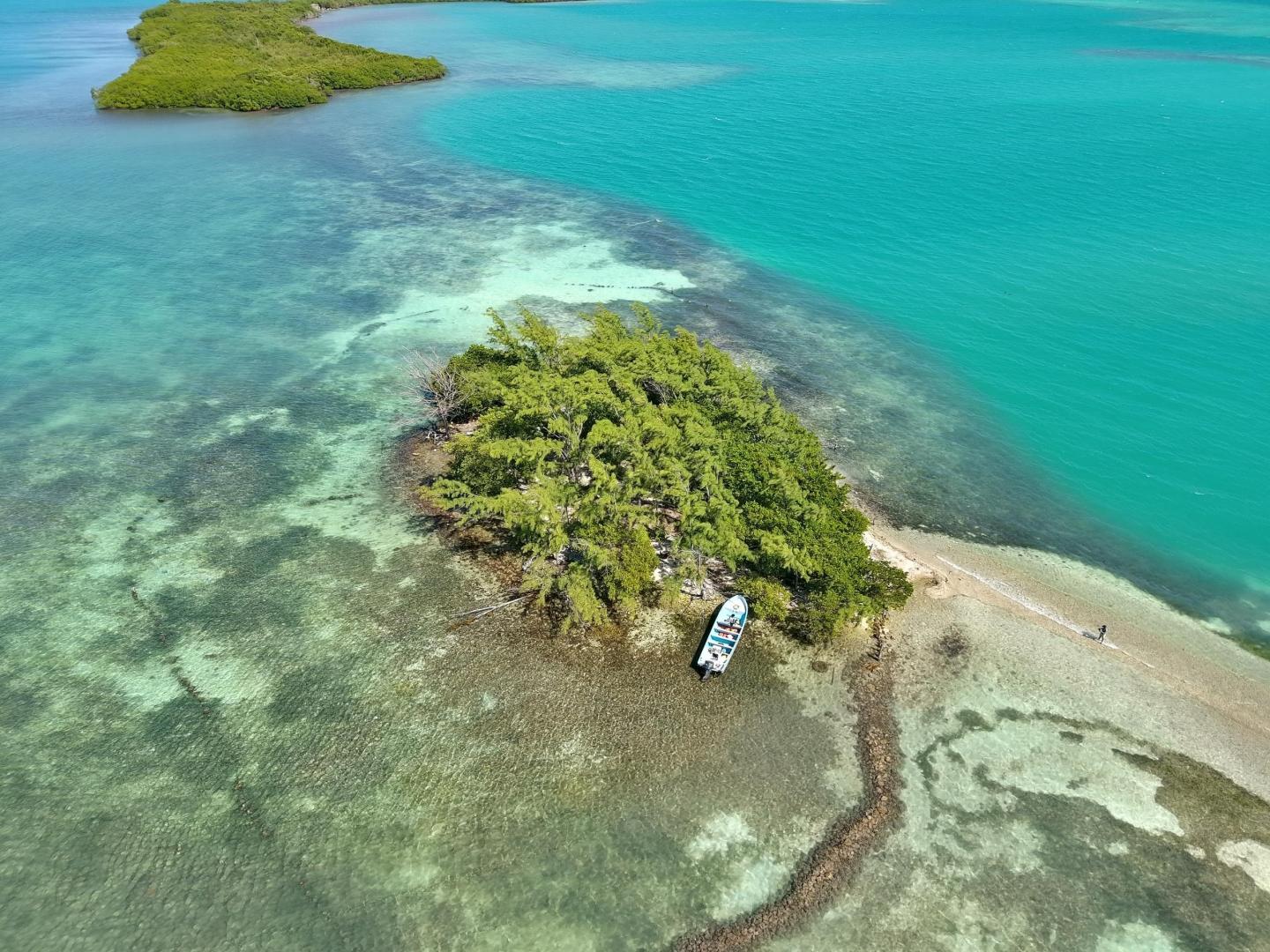 Bikini Caye – Private island in Belize, Central America