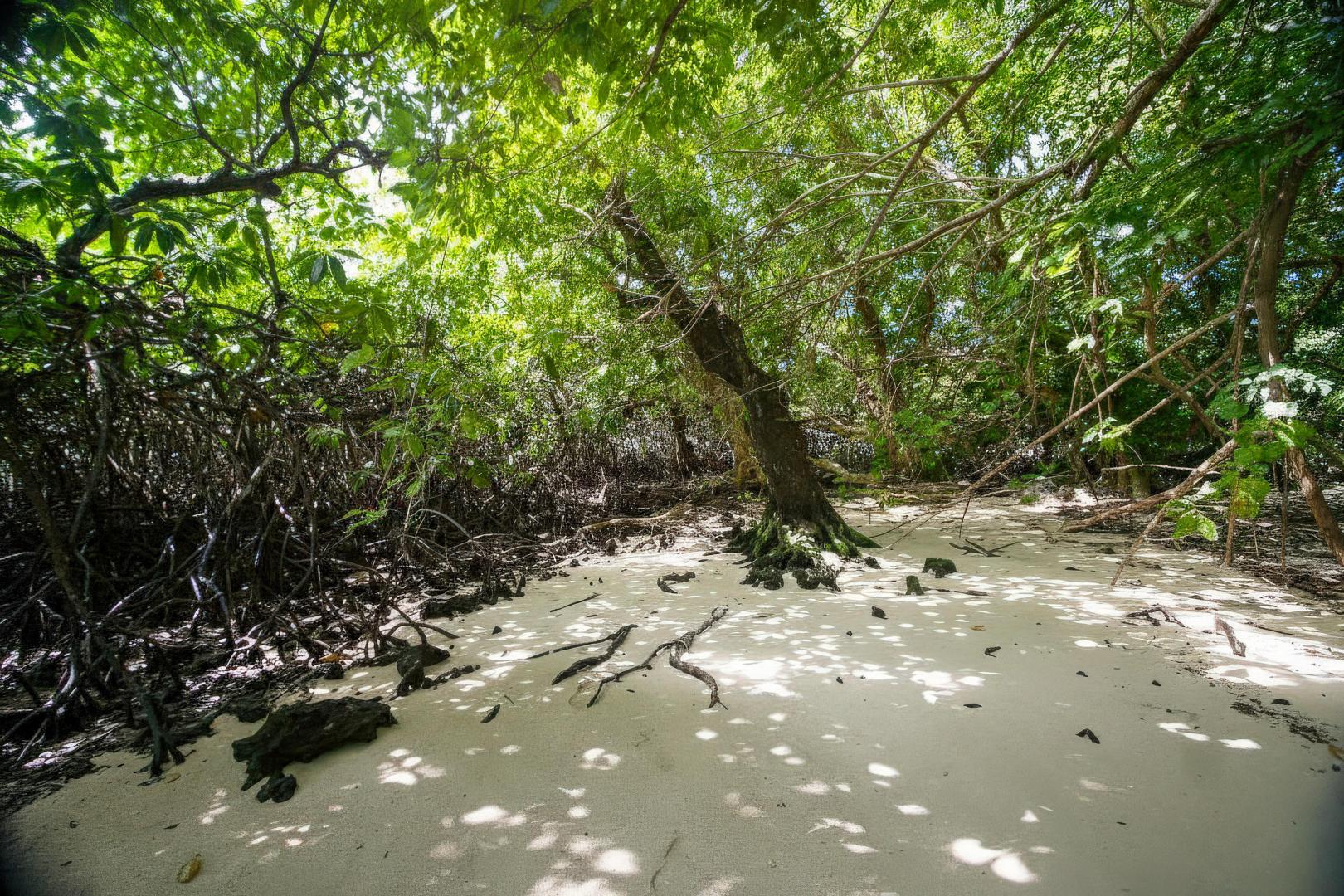Malwepe Island – Private island in Vanuatu, South Pacific