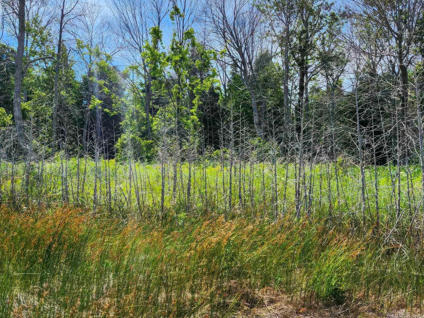 Rabbit Island – Private island in Ontario, Canada