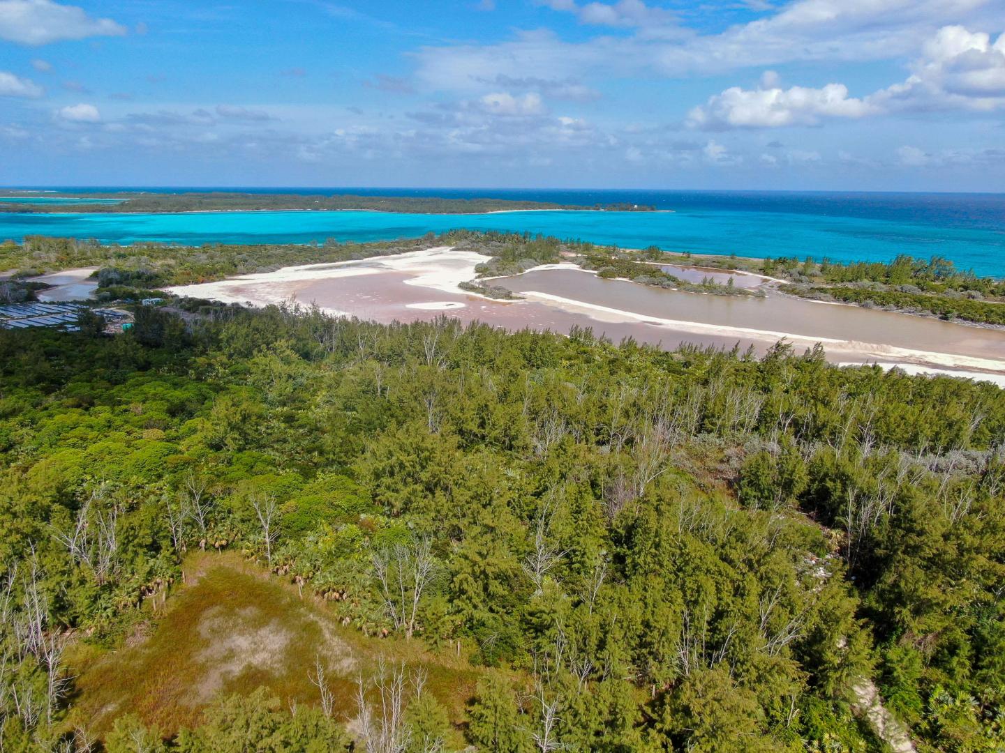 Bird Cay – Private island in The Berry Islands, Bahamas, Caribbean