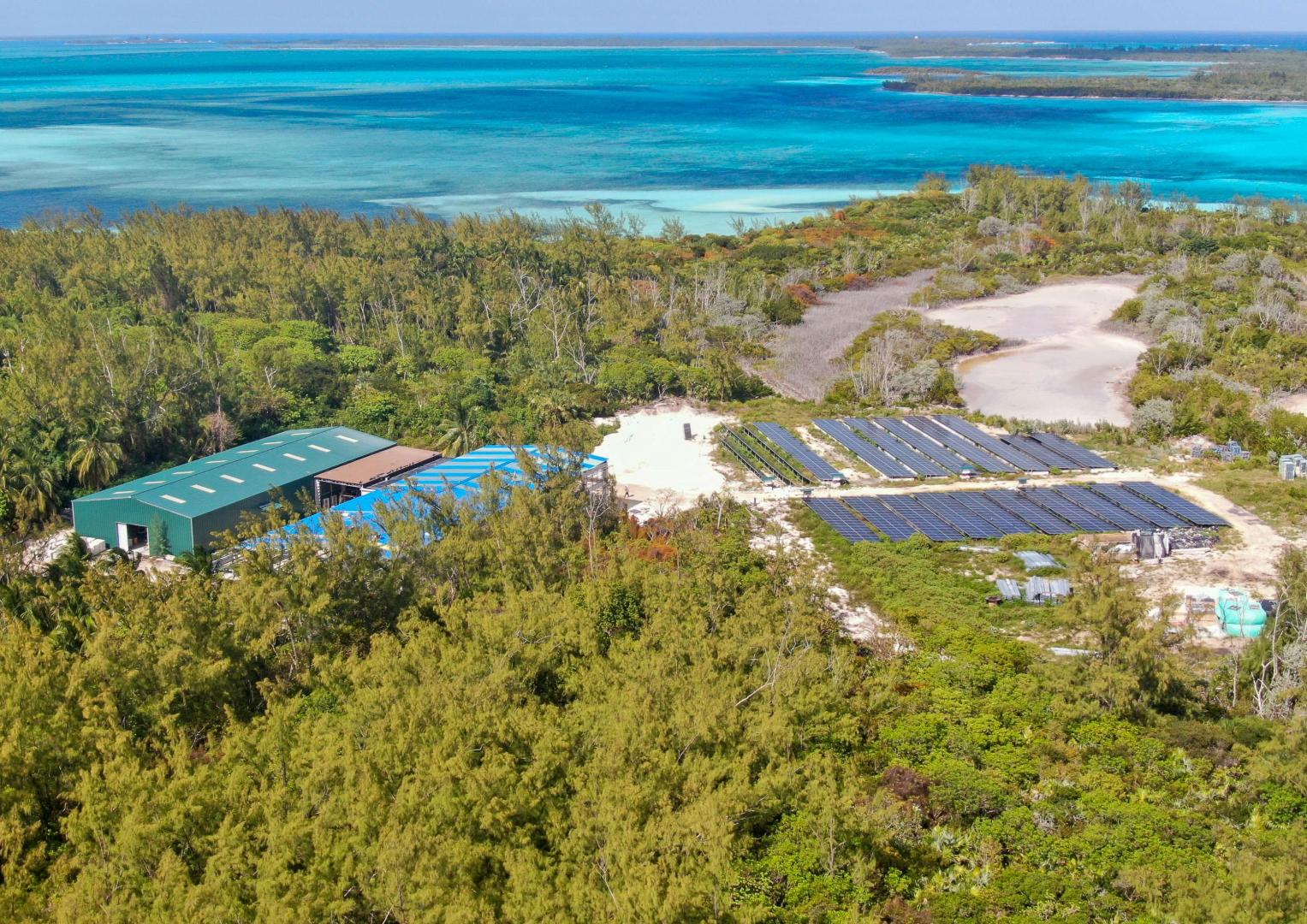 Bird Cay – Private island in The Berry Islands, Bahamas, Caribbean