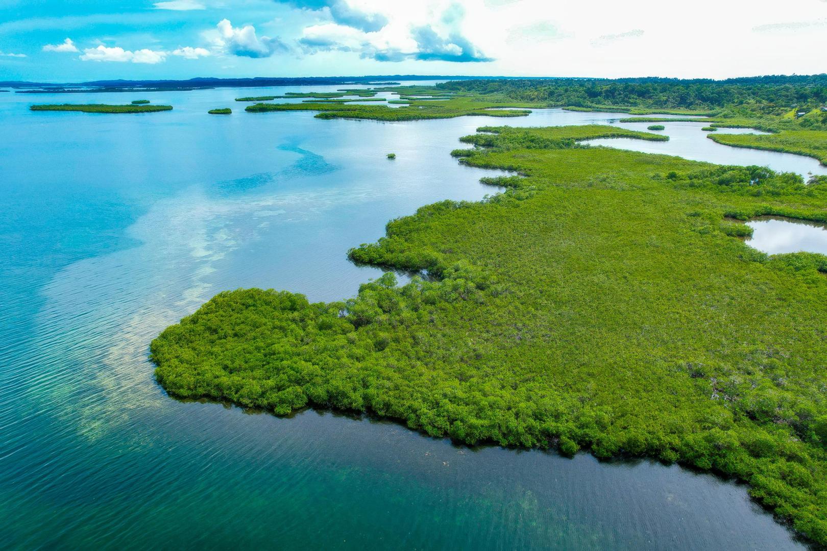 Bocas del Toro – Private island in Panama, Central America