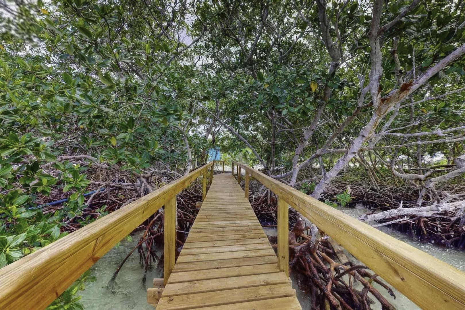 Bread and Butter Cayes – Private island in Belize, Central America