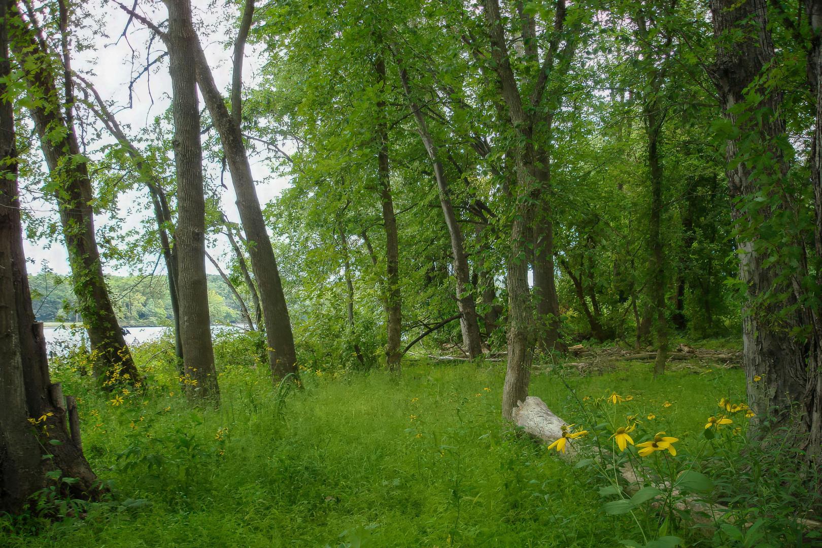 Campbell Island on the Hudson River – Private island in New York, United States