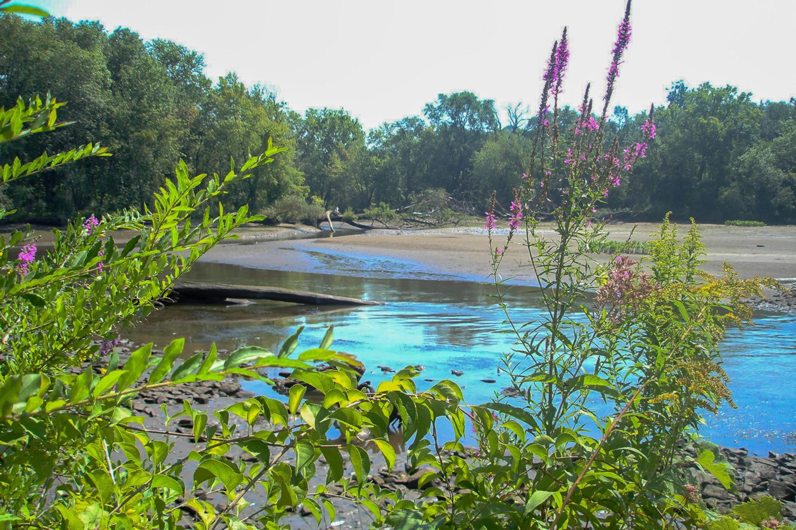 Campbell Island on the Hudson River – Private island in New York, United States