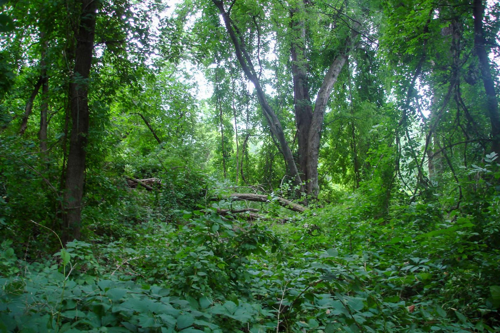 Campbell Island on the Hudson River – Private island in New York, United States