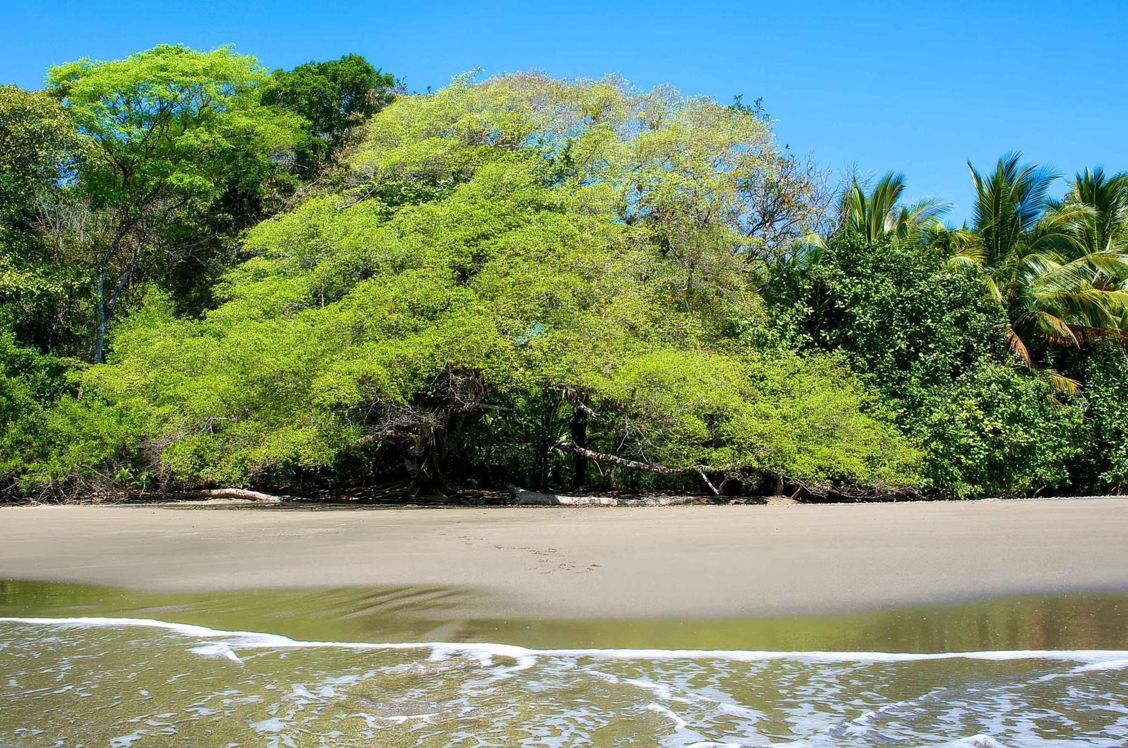 Cebaco Island – Private island in Panama, Central America
