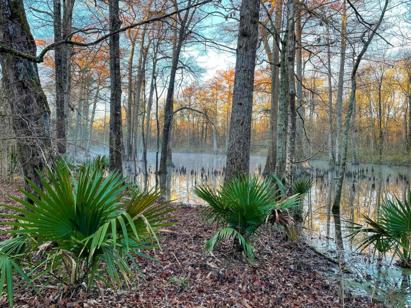 Cooks Bend Island – Private island in Alabama, United States