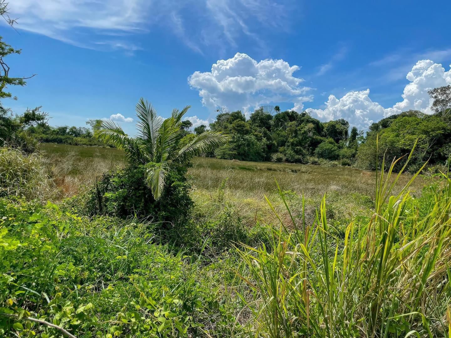 Eco Island Sanctuary, Darien Panama – Private island in Panama, Central America