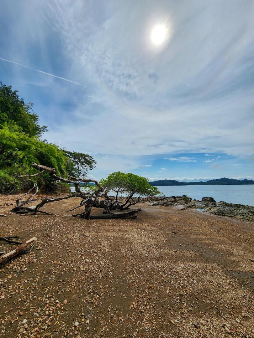 Eco Island Sanctuary, Darien Panama – Private island in Panama, Central America