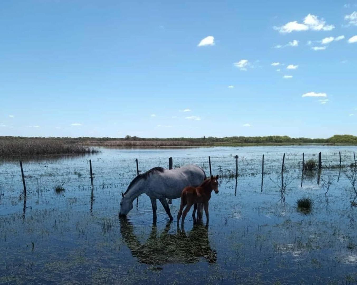 Estancia Isla de Lobos – Private island in Uruguay, South America