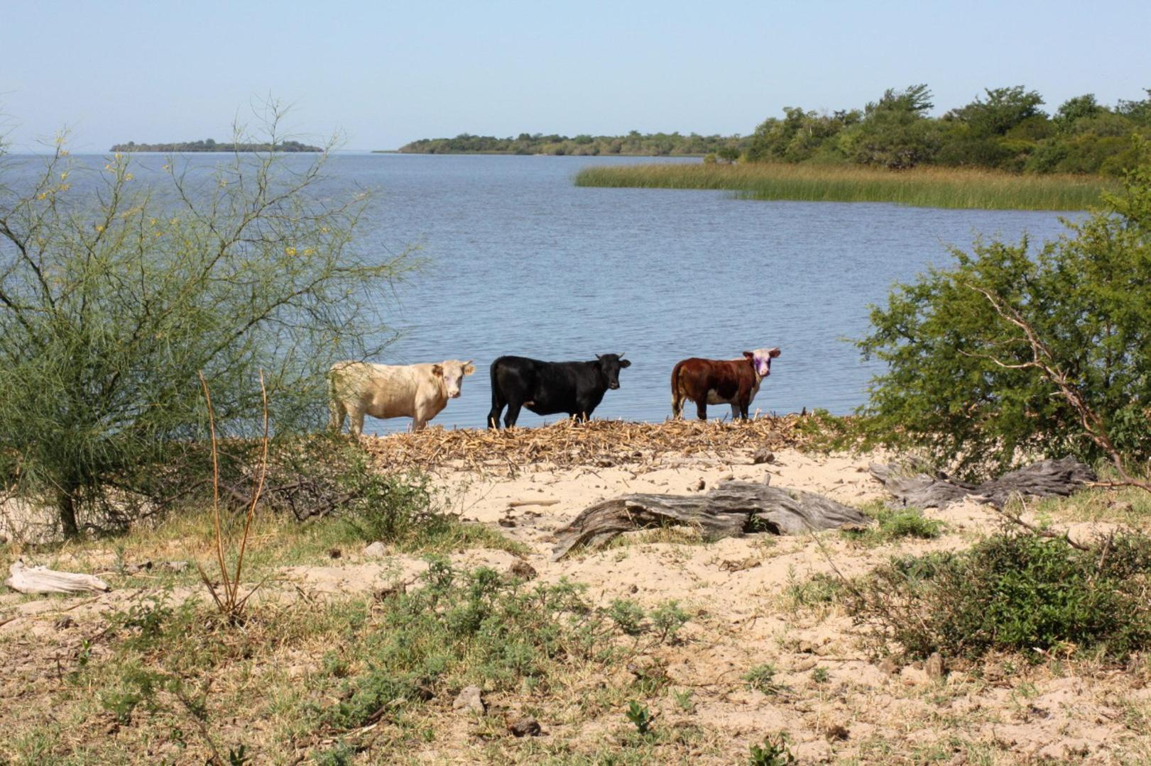 Estancia Isla de Lobos – Private island in Uruguay, South America