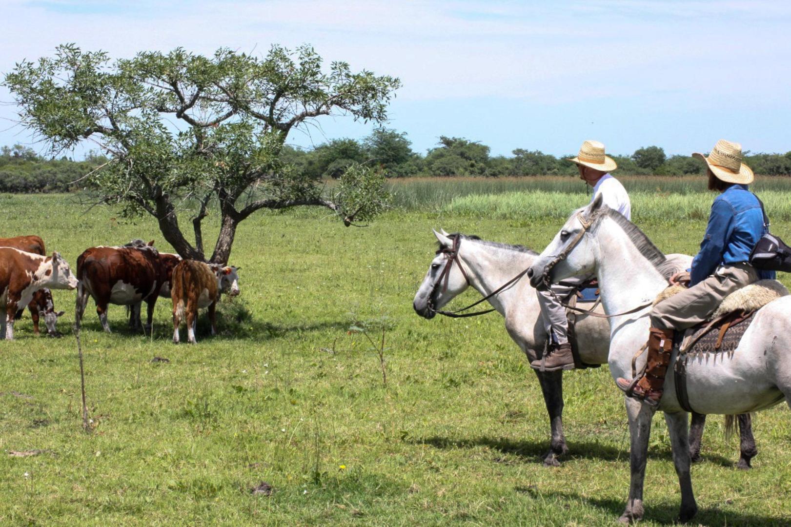Estancia Isla de Lobos – Private island in Uruguay, South America