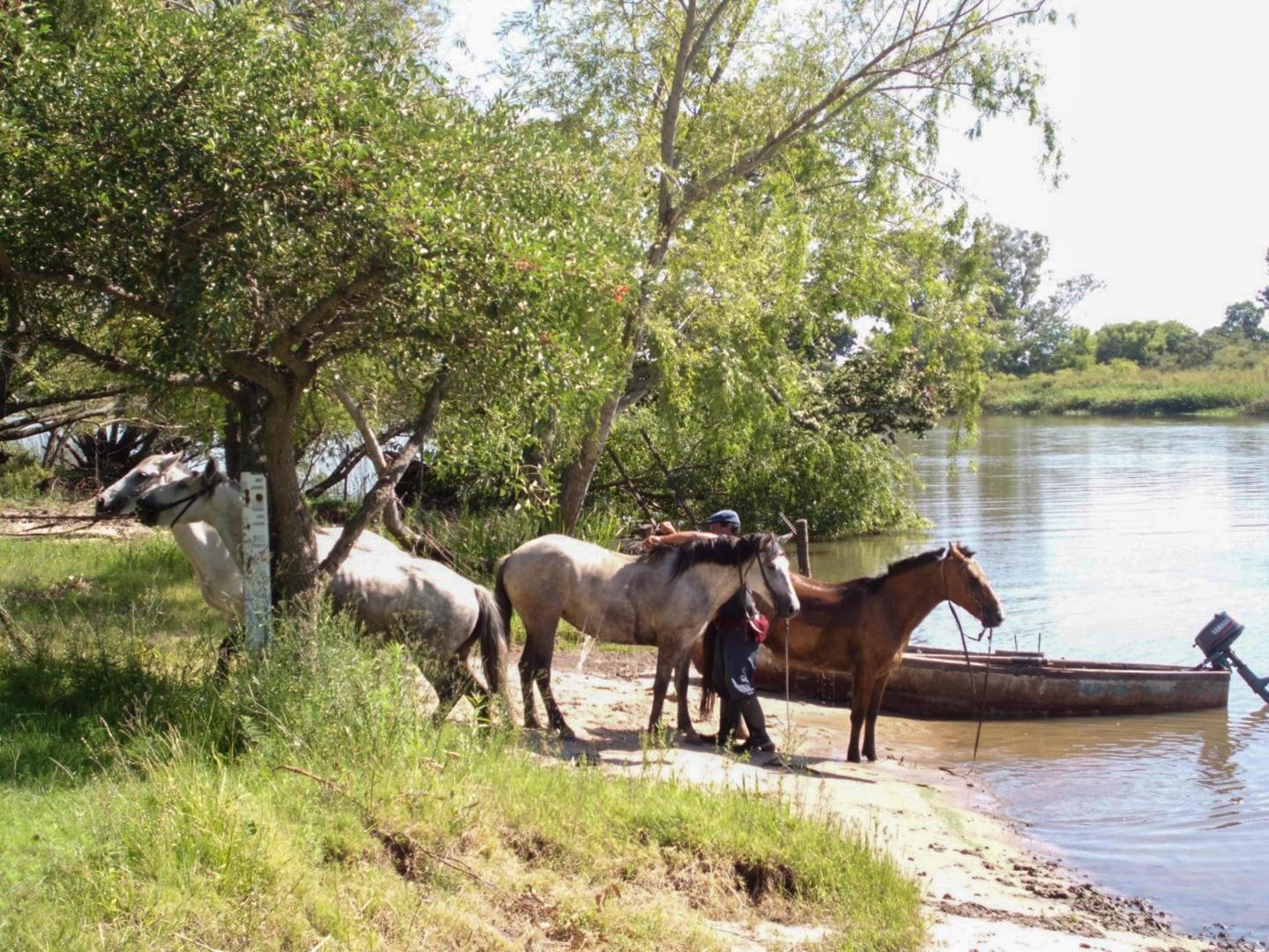 Estancia Isla de Lobos – Private island in Uruguay, South America