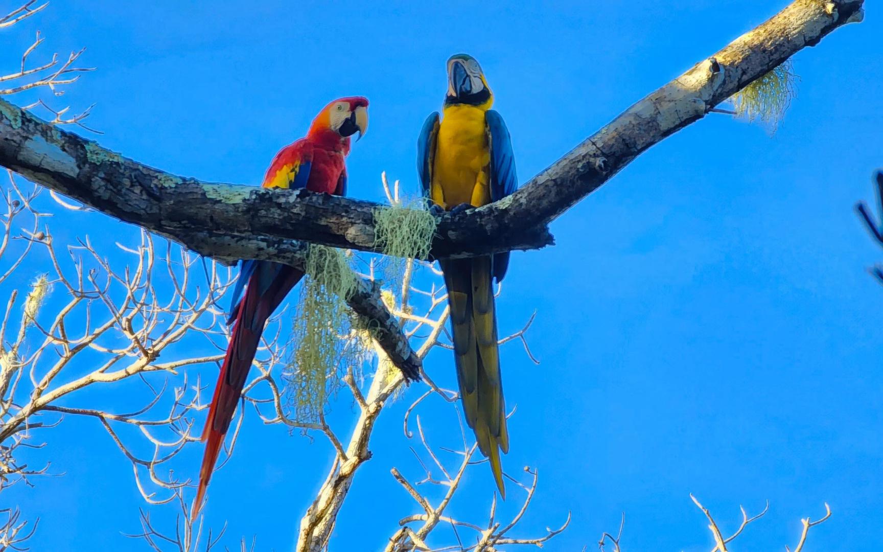 Gulf of Chiriquí Private Island Package – Private island in Panama, Central America