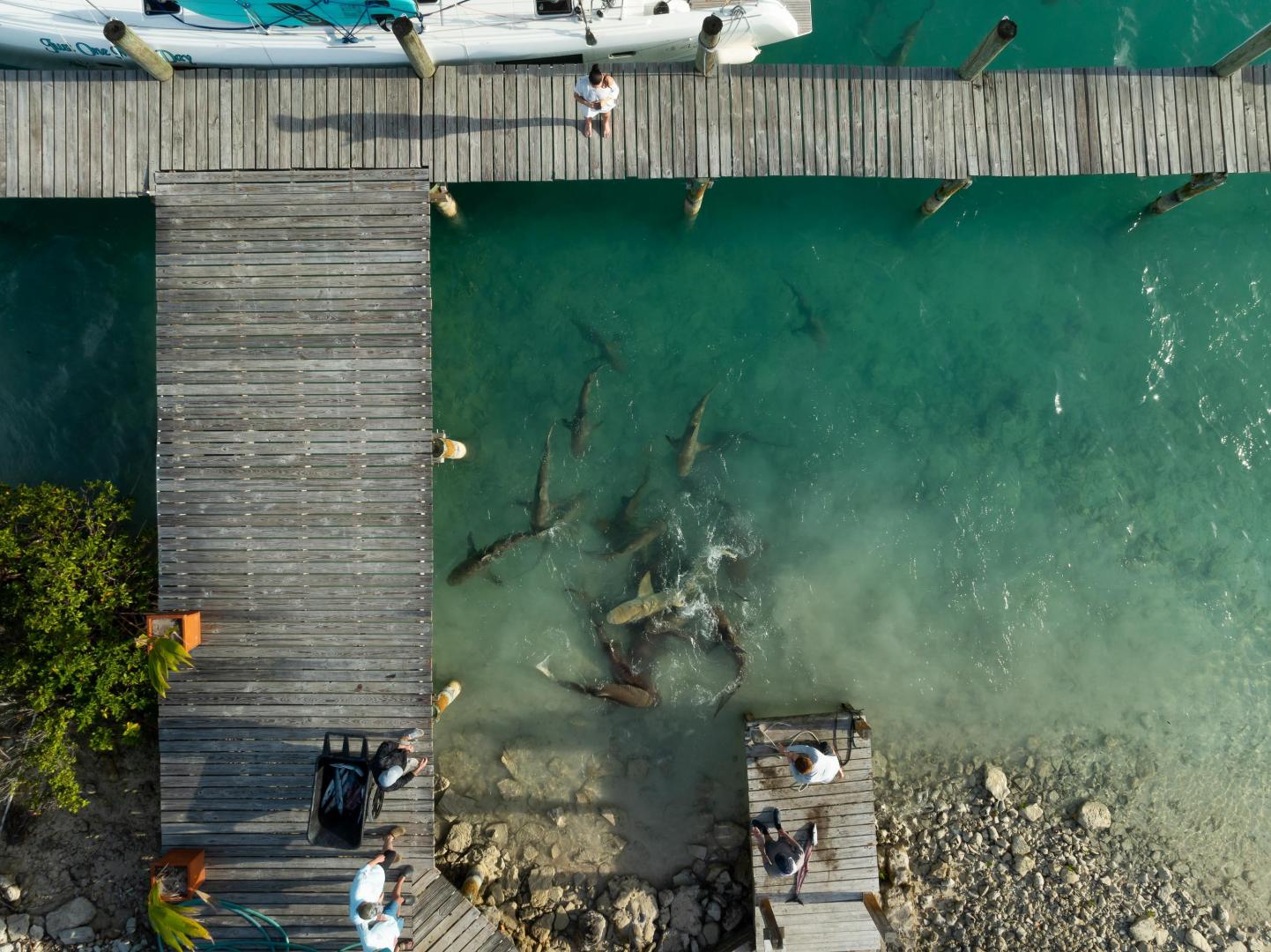 Hawk's Nest Resort and Marina – Private island in Bahamas, Caribbean