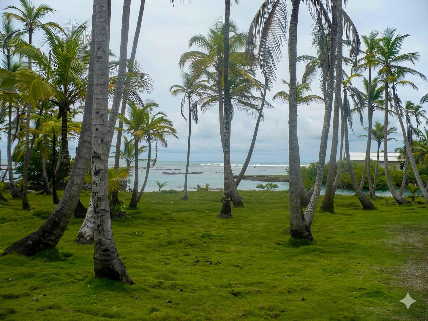 Isla Leo – Private island in Panama, Central America