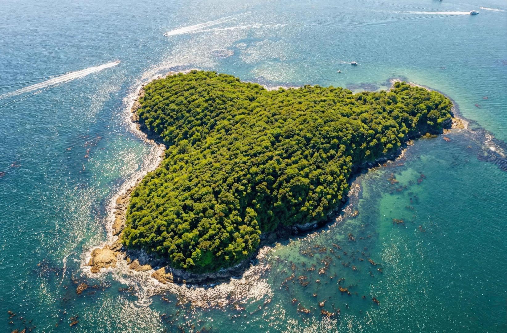Ilha da Sororoca – Private island in Brazil, South America