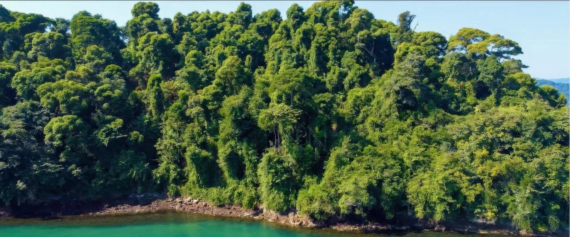 Ilha Do Pasto – Private island in Brazil, South America
