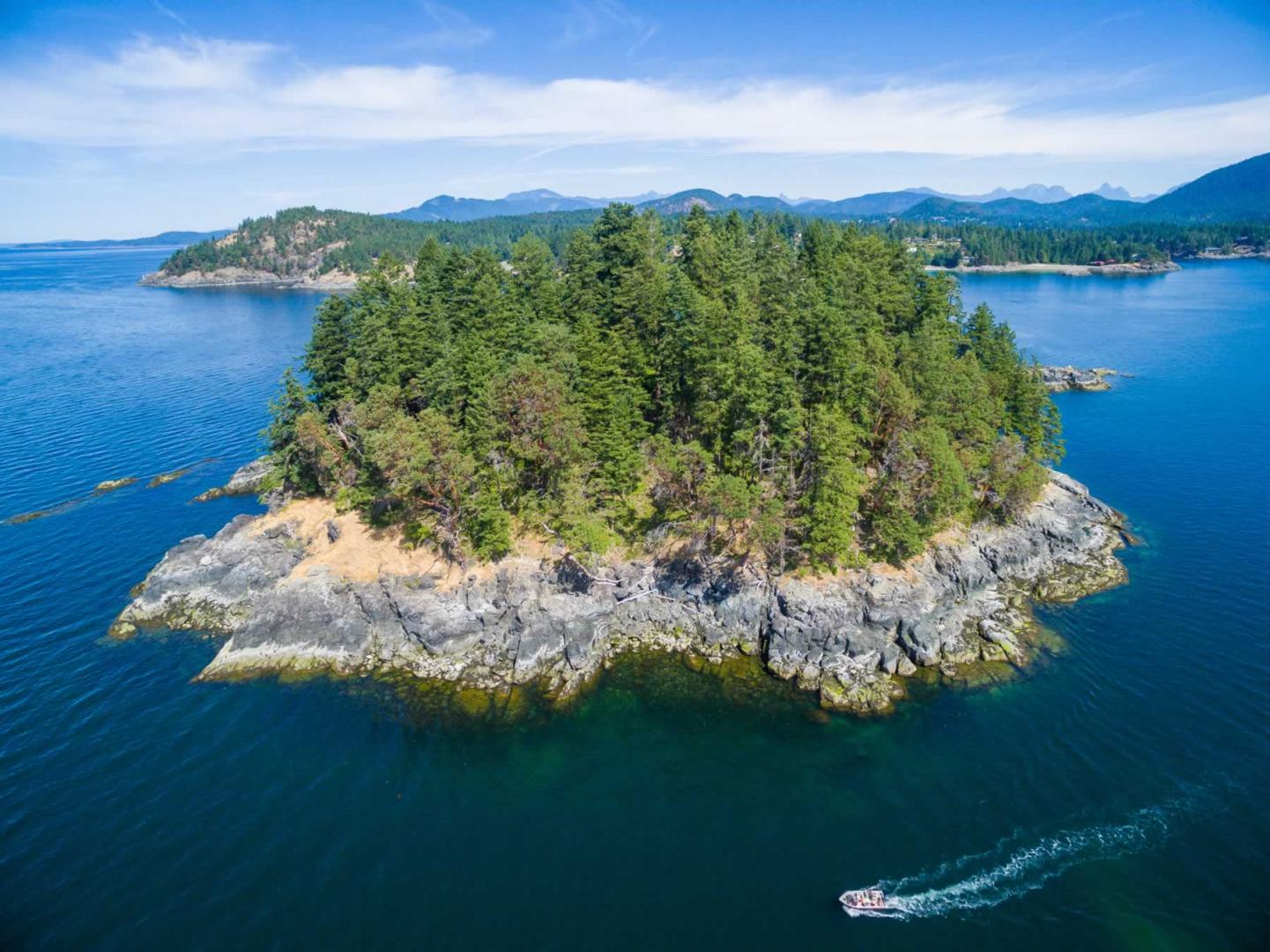 Whitestone Island image