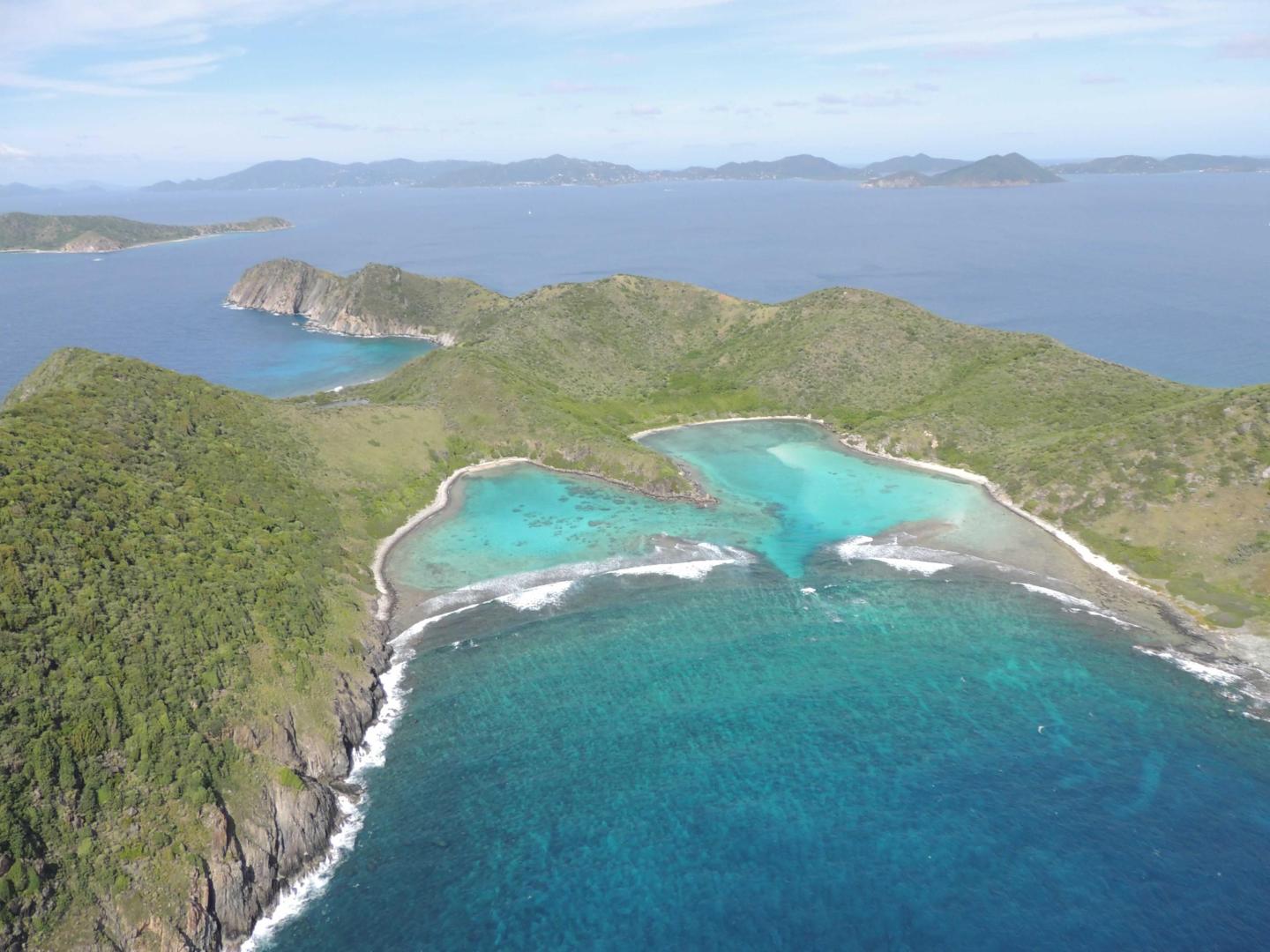 Ginger Island image