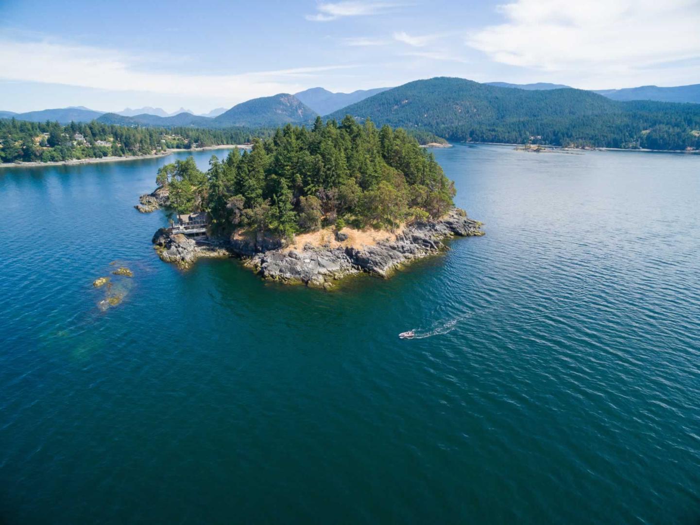 Whitestone Island image