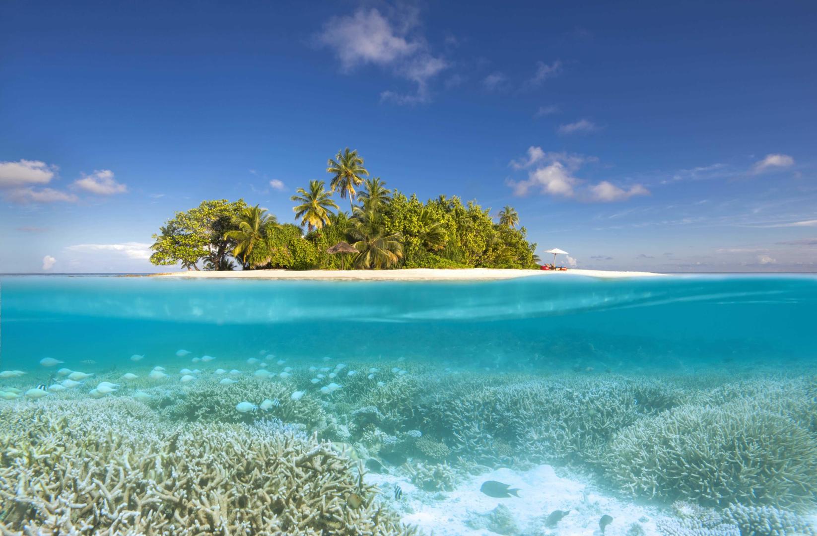 W Maldives image