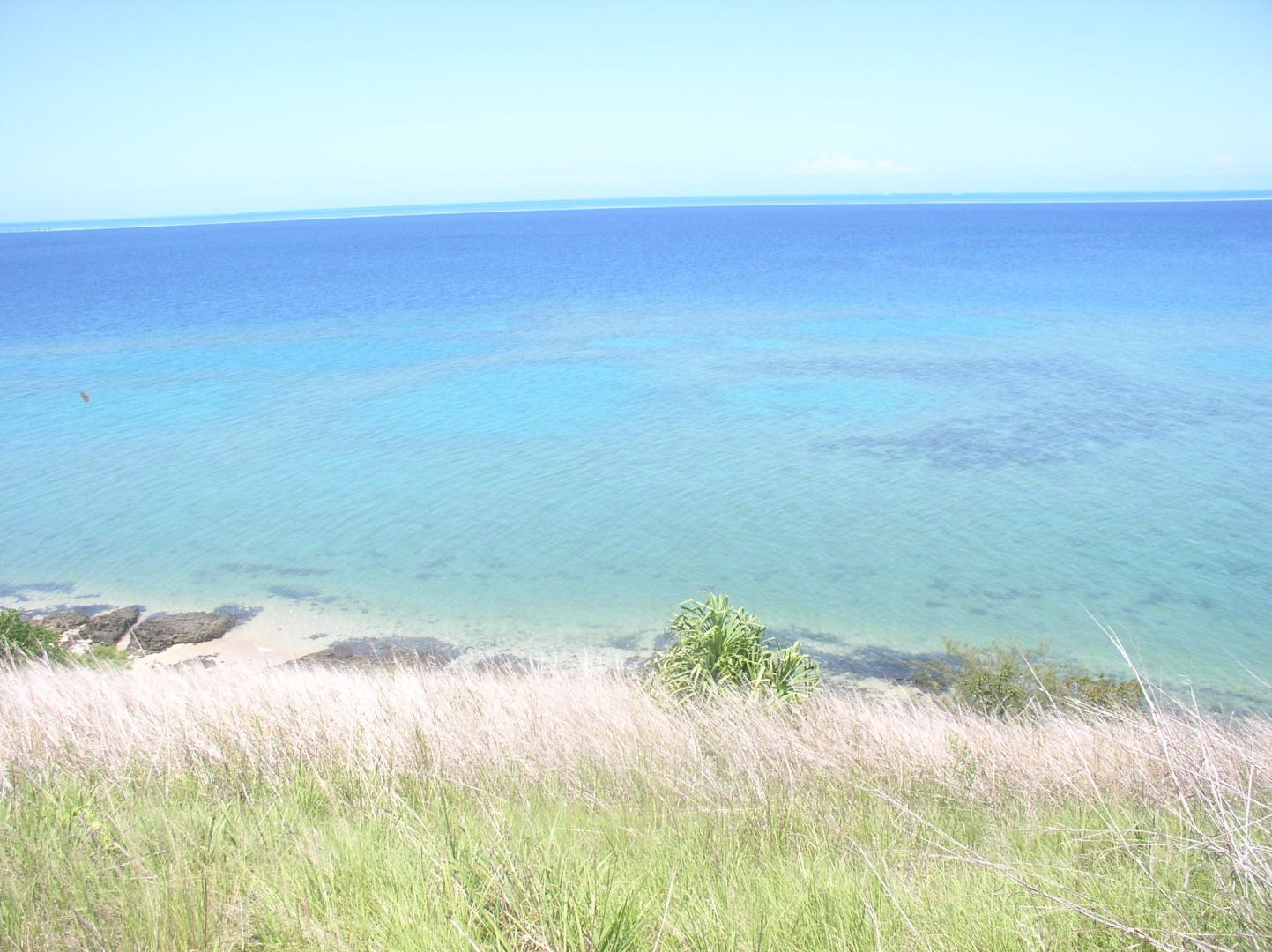 Tivi Island image