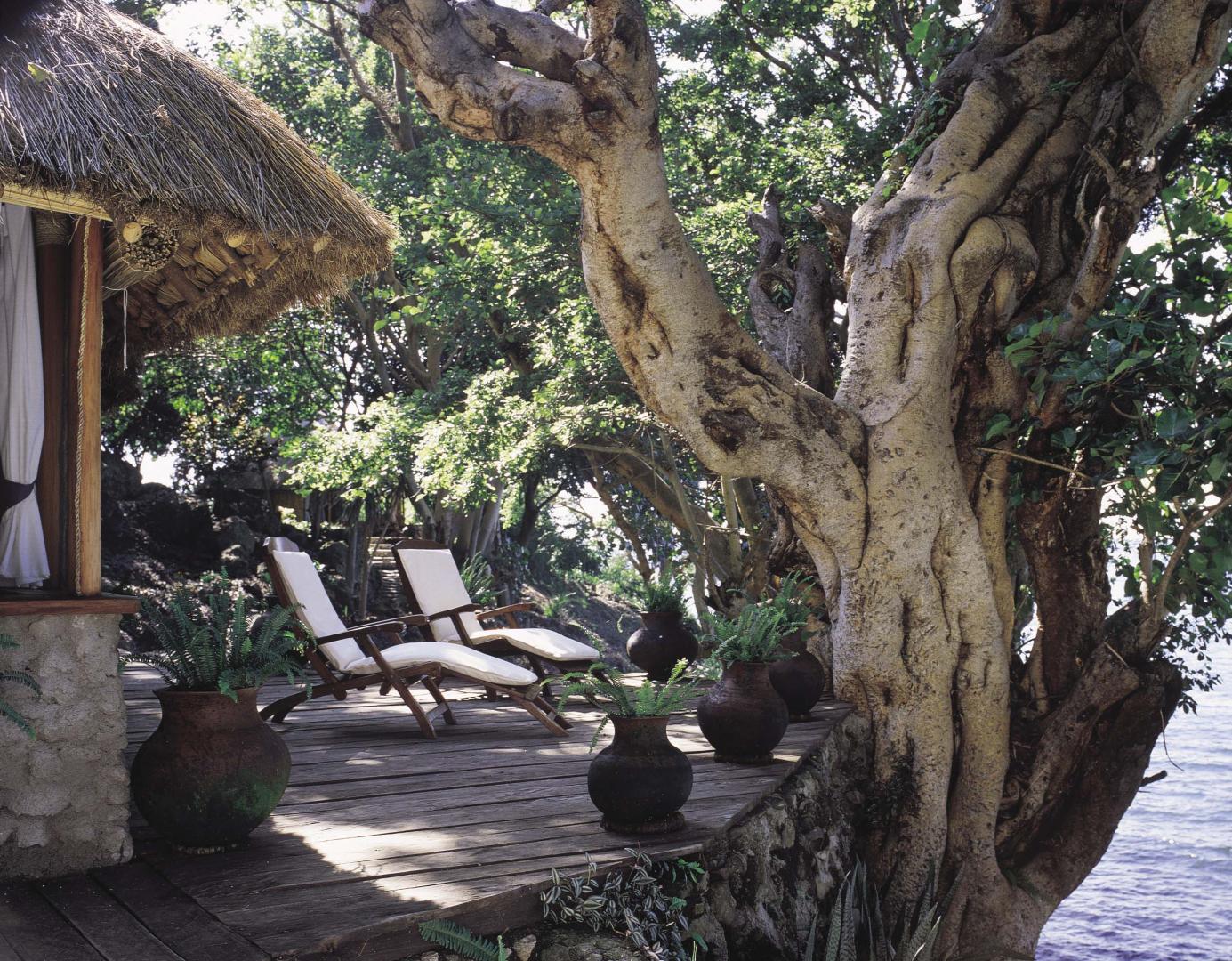Mfangano Island Camp image
