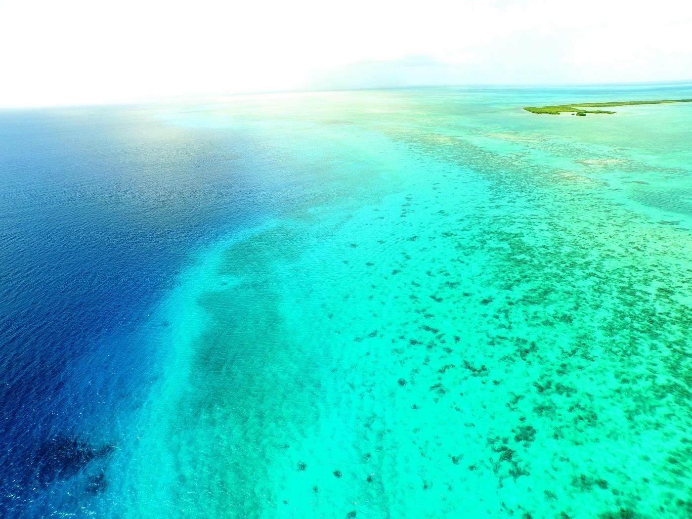 Crawl Caye (Belize City) image