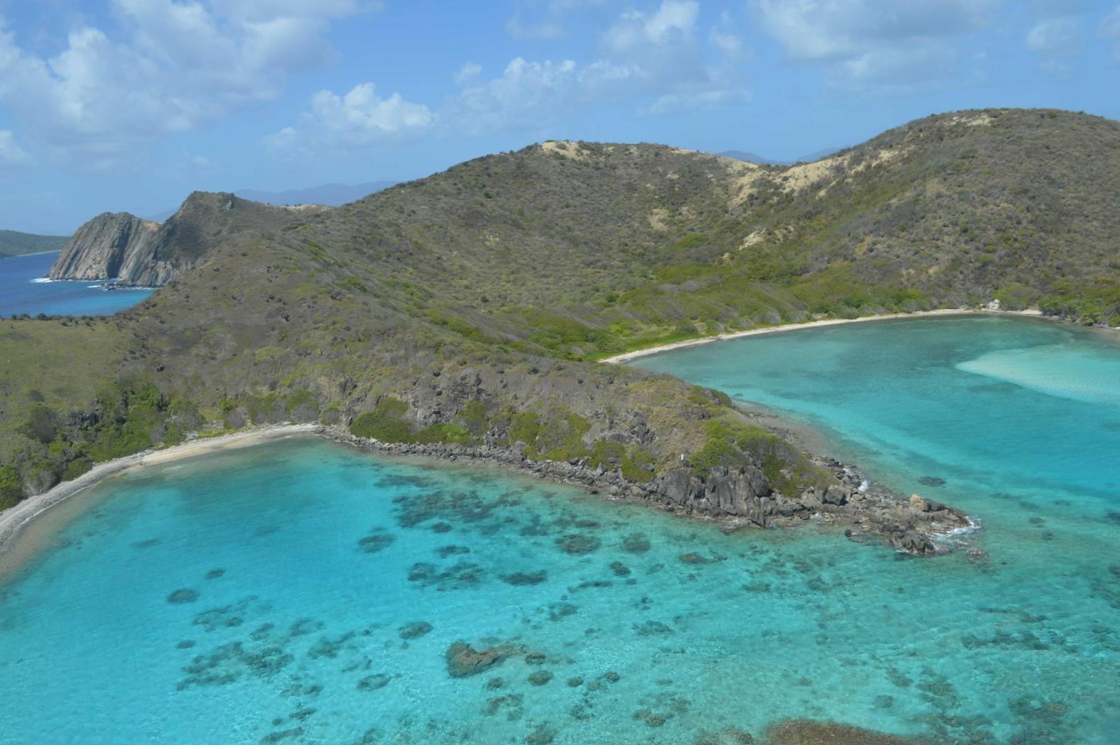 Ginger Island image